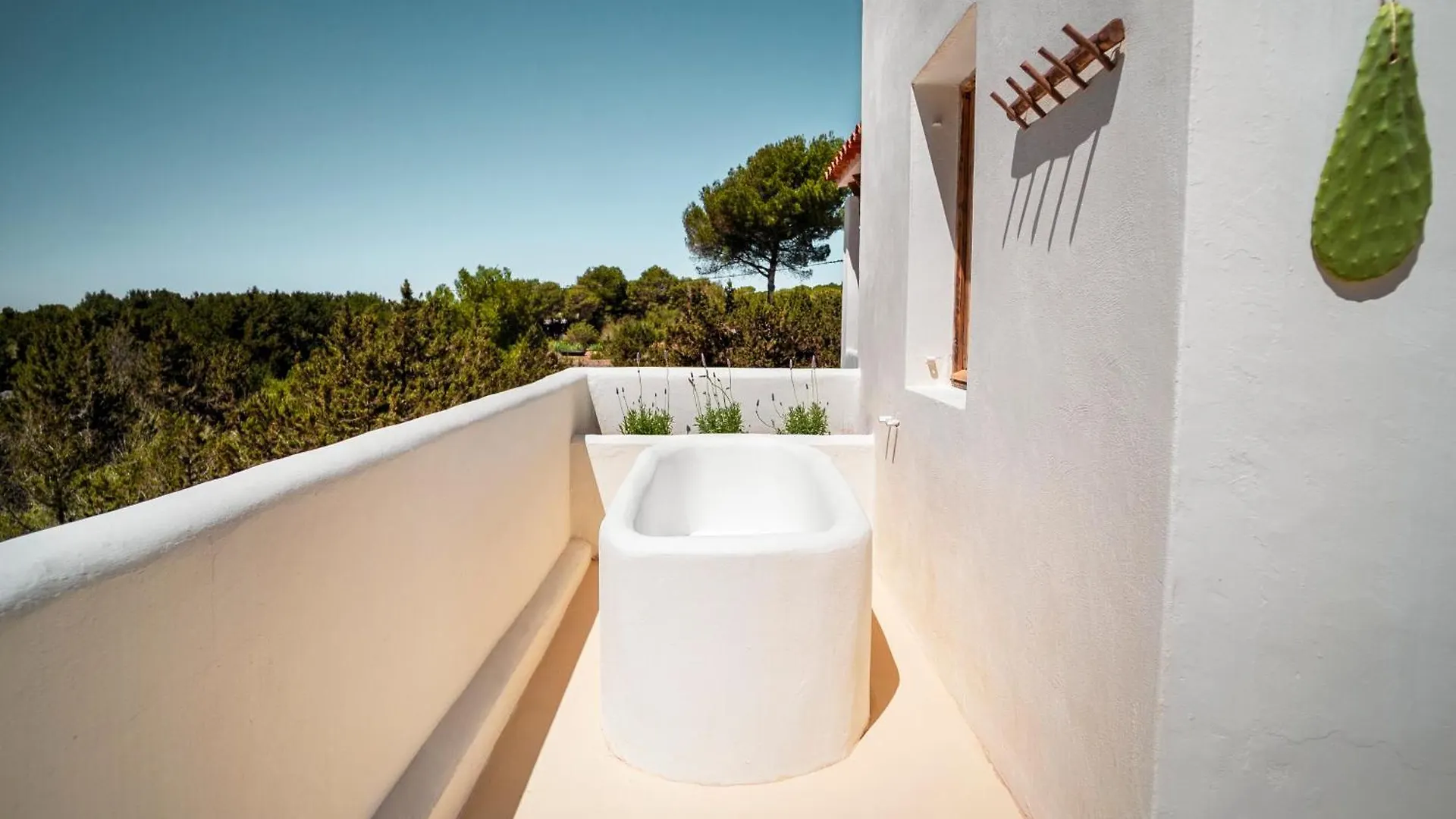 Apartment Estel Formentera Playa Migjorn Spain