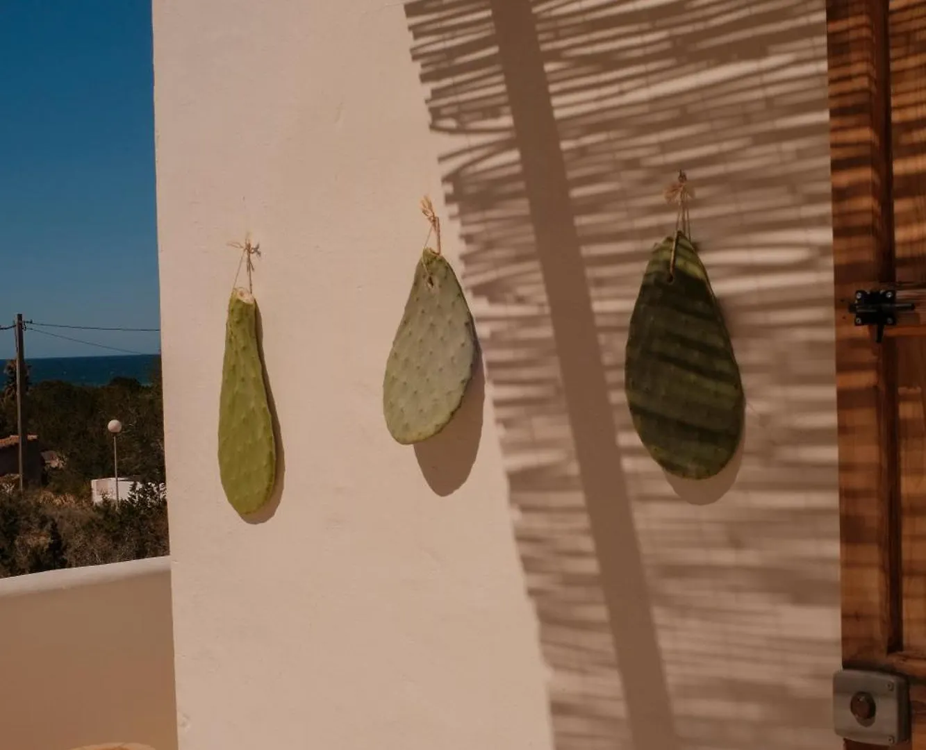 Estel Formentera Playa Migjorn